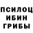 Псилоцибиновые грибы MAGIC MUSHROOMS Travis Pluss