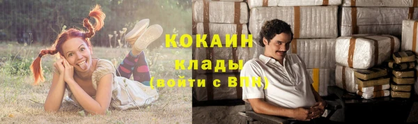 амф Абинск