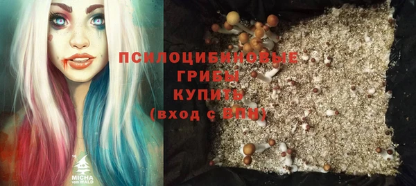 бошки Алексеевка