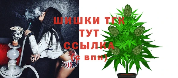 мет Надым