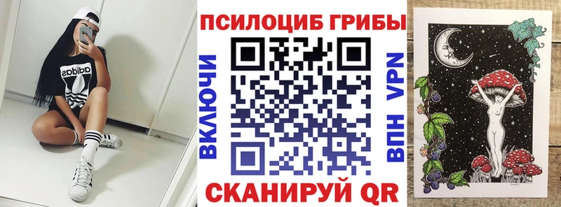 Галлюциногенные грибы мицелий  hydra как зайти  Сурск 